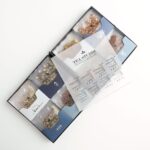 شازده کوچولو - تصویر 2